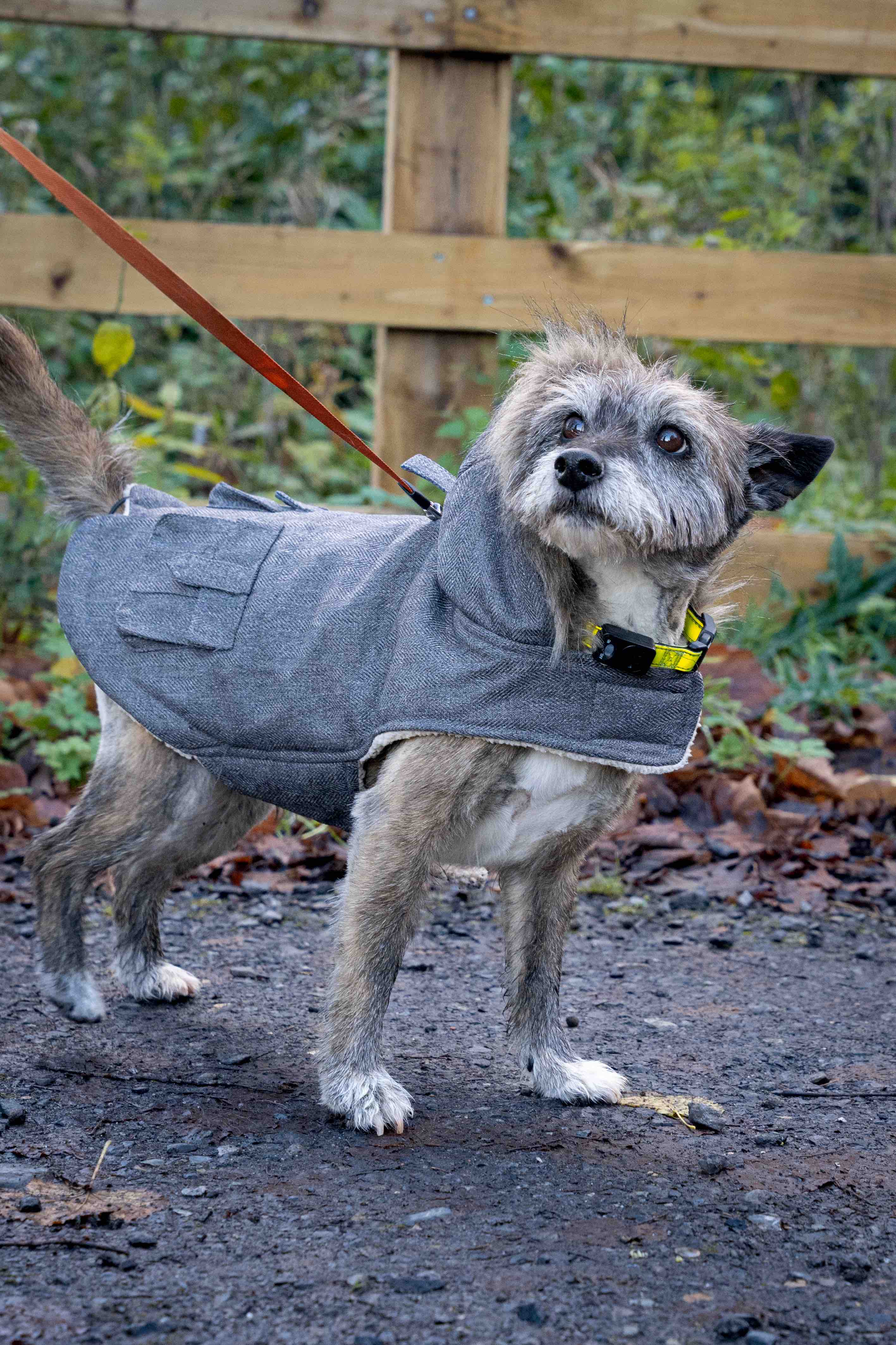 New winter coat