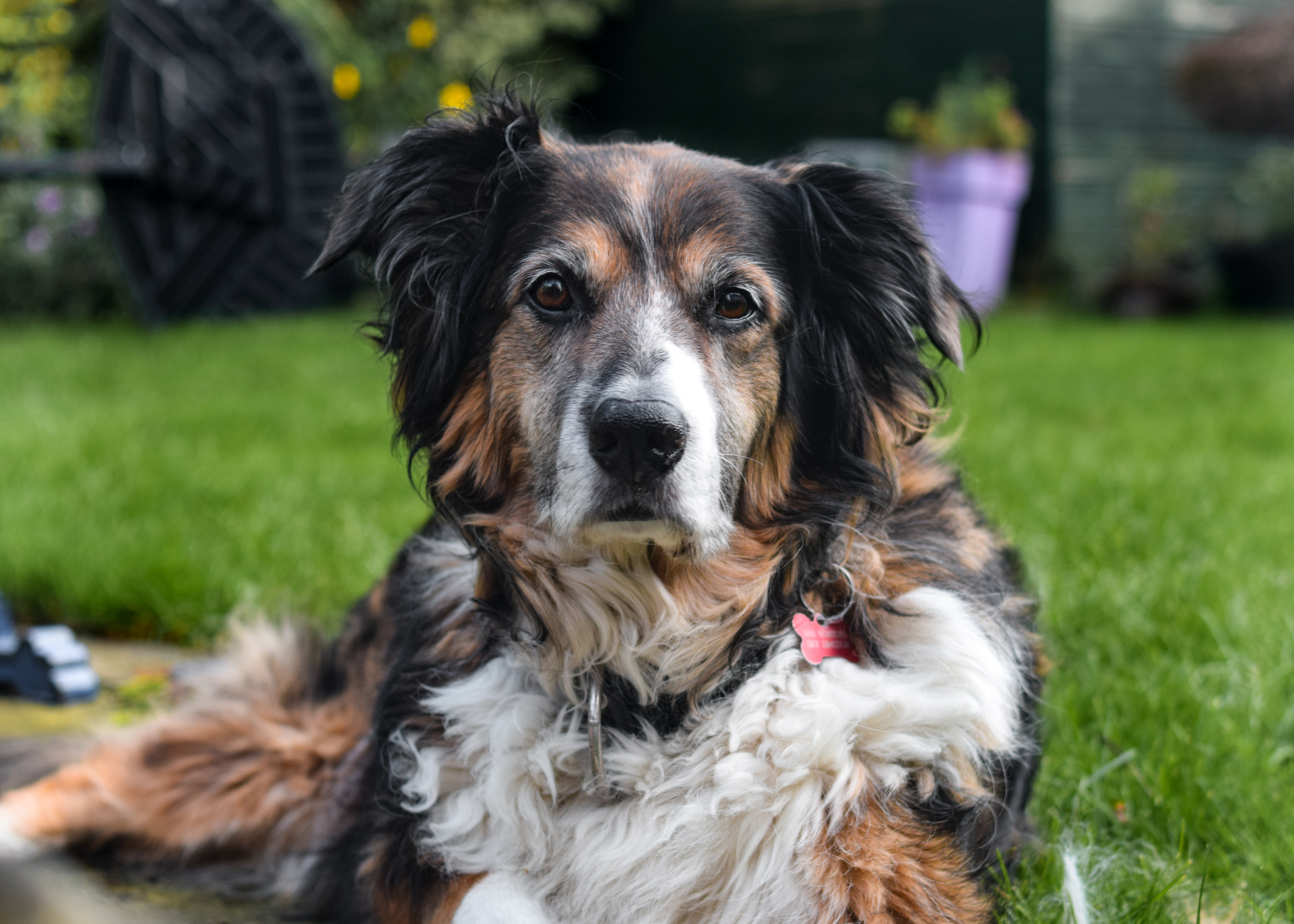 Molly